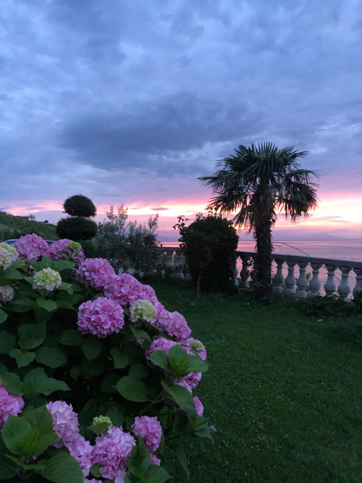Bed and Breakfast Bella Vista Shkodër Exteriér fotografie